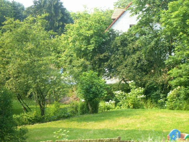 Waldpension Zum Felsenkeller Lichtenfels-Sachsenberg Bagian luar foto